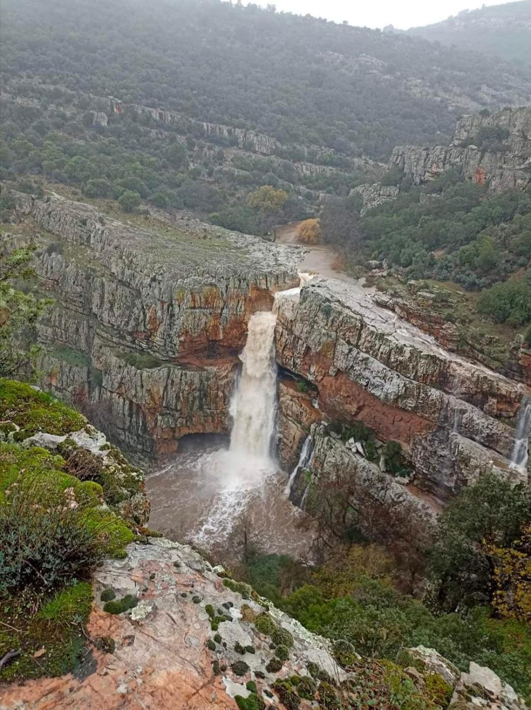 Casa Rural Batalla Navas De Tolosa, Despenaperros Santa Elena Eksteriør bilde